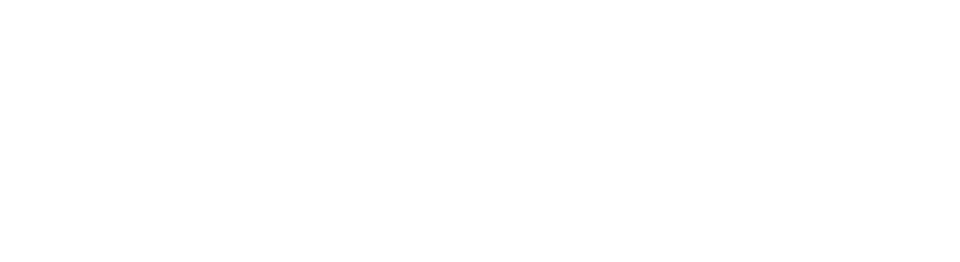 Beginner’s Guide