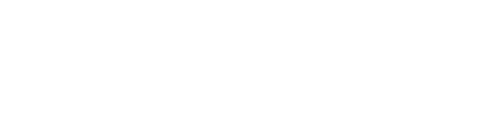 Salon Info